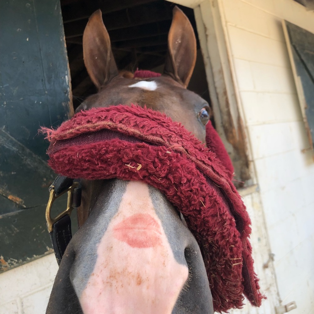 Meet your Posher, Eva